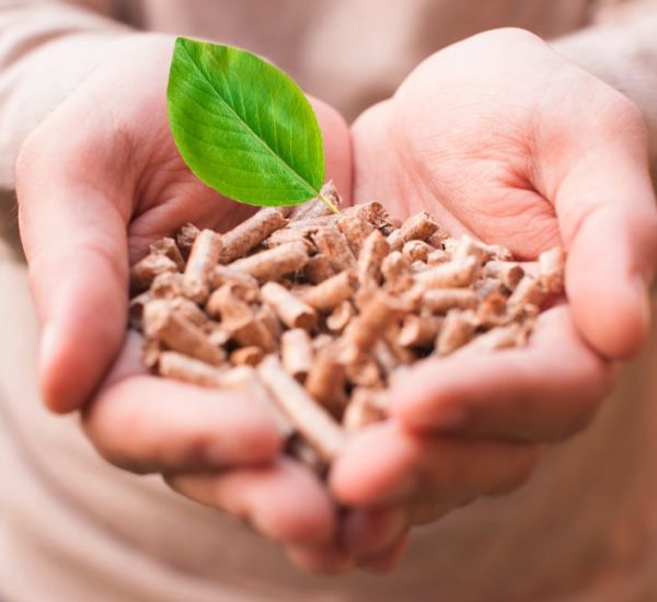 pellets-hand-biomasse